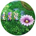 お花発見なのです!!
